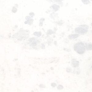 Bahama White Marble