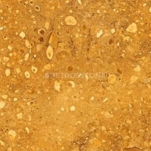 Fossil Goldino Marble