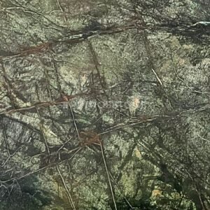 Rainforest Green Marble