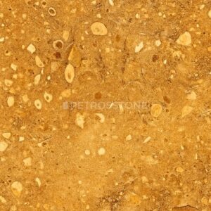 Fossil Goldino Marble
