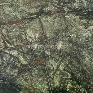 Rainforest Green Marble