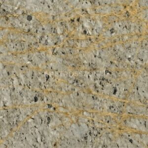 Versace Grey Marble