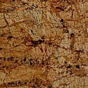 Alaska Gold Quartzite