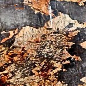 Bold Grey Patagonia Quartzite