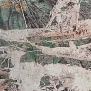 Botanic Wave Quartzite