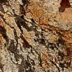 Patagonia Gold Quartzite
